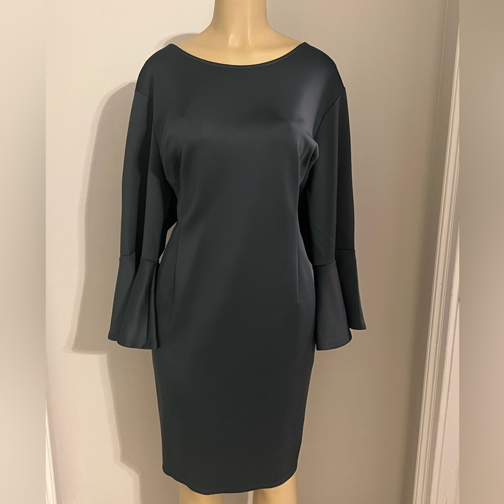 Bell Sleeved Dress